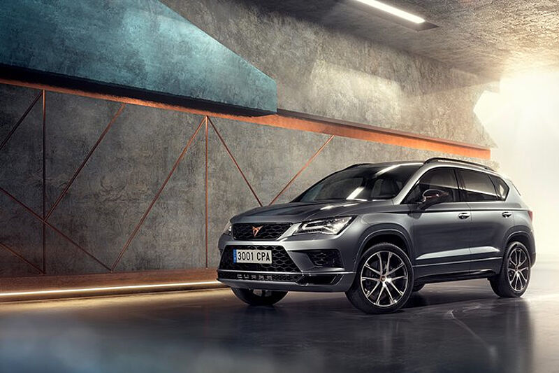 /picserver1/userdata/1/3094/WhnUtkgk/cupra.jpg