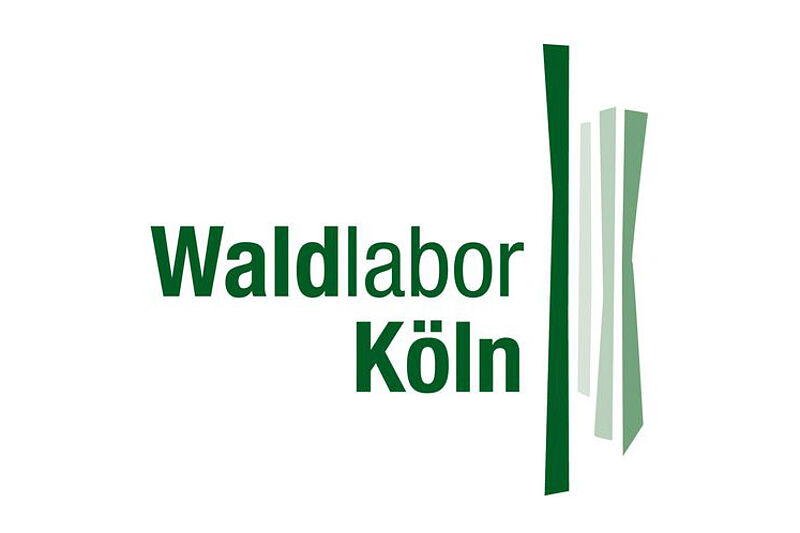 Der Wald im Wandel